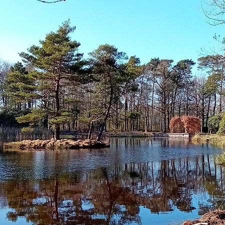 B&B Stripsein Wijnjewoude Bagian luar foto