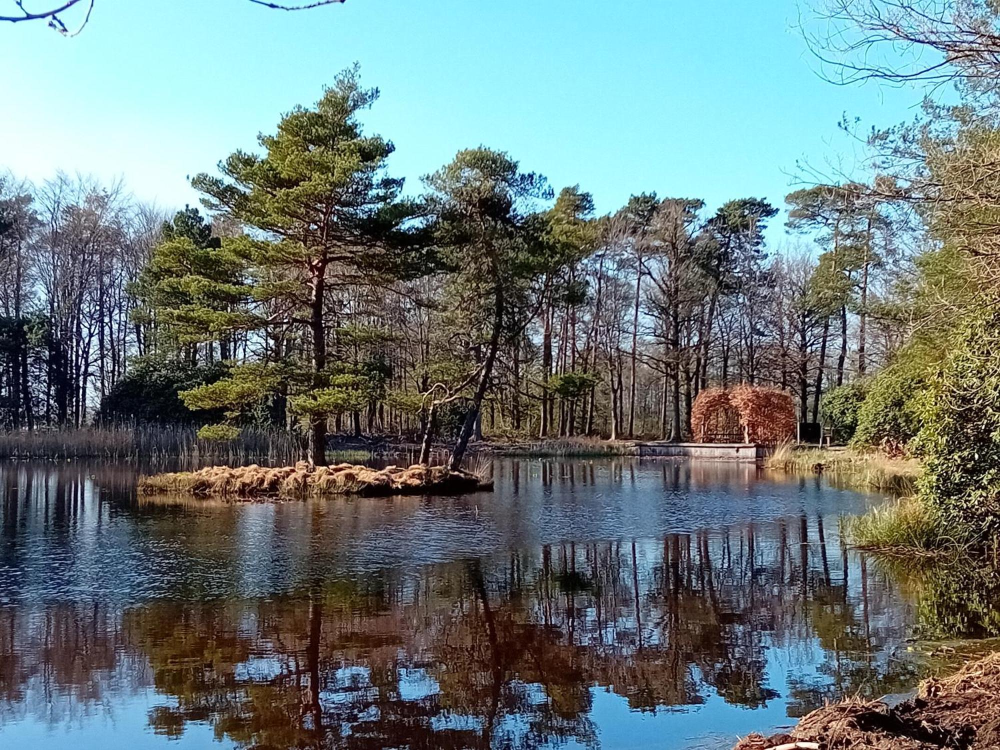 B&B Stripsein Wijnjewoude Bagian luar foto